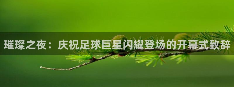璀璨之夜：庆祝足球巨星闪耀登场的开幕式致辞