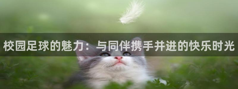 校园足球的魅力：与同伴携手并进的快乐时光