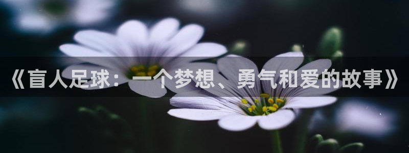 《盲人足球：一个梦想、勇气和爱的故事》