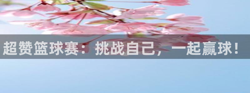 超赞篮球赛：挑战自己，一起赢球！
