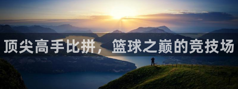 顶尖高手比拼，篮球之巅的竞技场