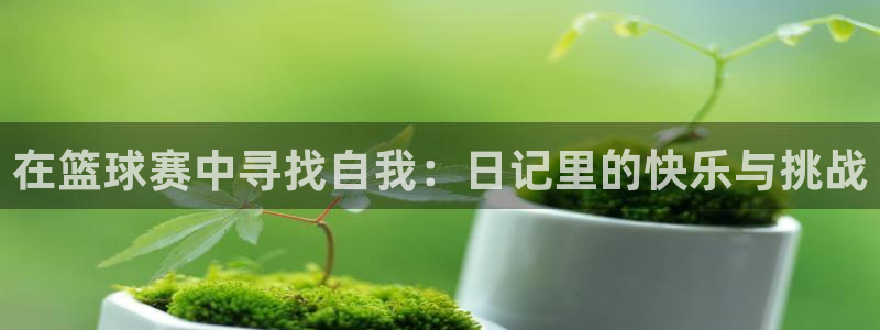 球速体育app苹果下载官方网站：在篮球赛中寻找自我：日记里的