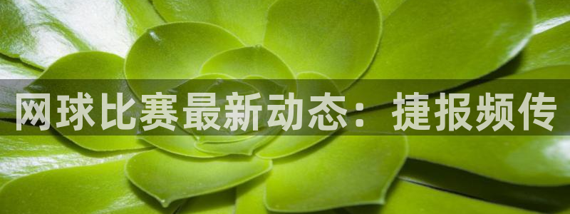 球速体育PG：网球比赛最新动态：捷报频传