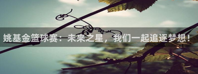 球速体育官网入口查询：姚基金篮球赛：未来之星，我们一起追逐梦