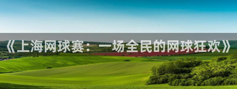 球速体育多少年了：《上海网球赛：一场全民的网球狂欢》