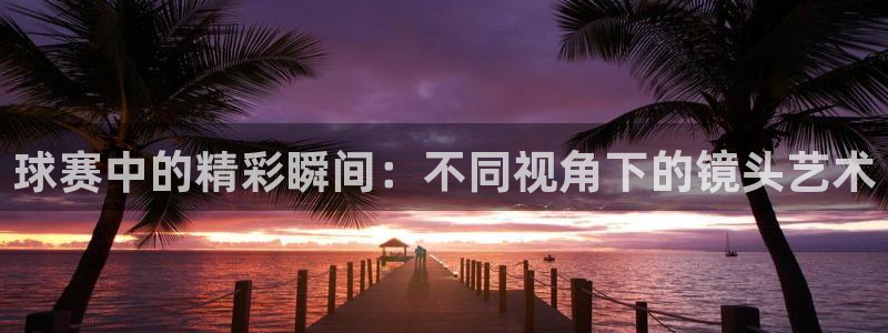 球速体育被国家认可吗：球赛中的精彩瞬间：不同视角下的镜头艺术