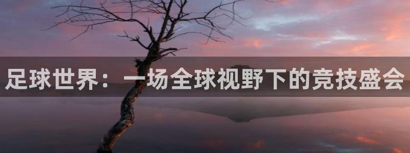 球速体育官网站：足球世界：一场全球视野下的竞技盛会