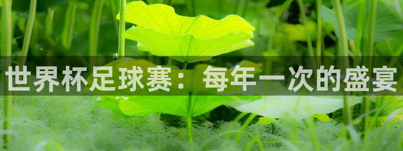 球速体育网页版登录：世界杯足球赛：每年一次的盛宴